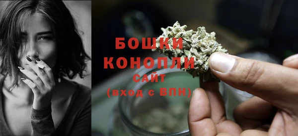первитин Белокуриха