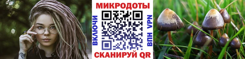 Псилоцибиновые грибы ЛСД OMG маркетплейс Верея продажа наркотиков